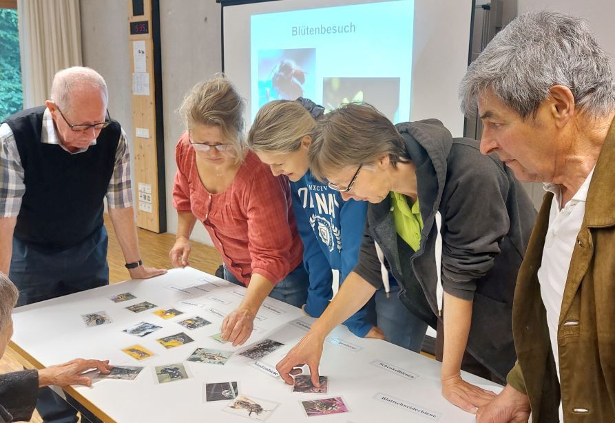 Teilnehmer des Kurses Insektenvielfalt stehen am Tisch
